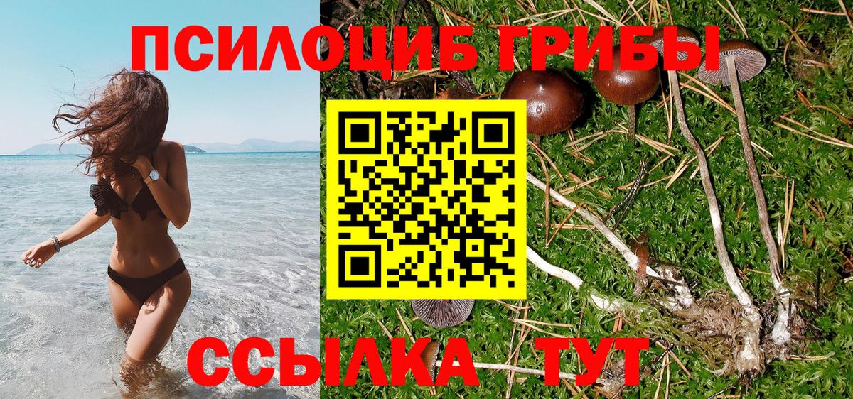 Галлюциногенные грибы Psilocybine cubensis  Вход с VPN  Шадринск  Галлюциногенные грибы прущие грибы 